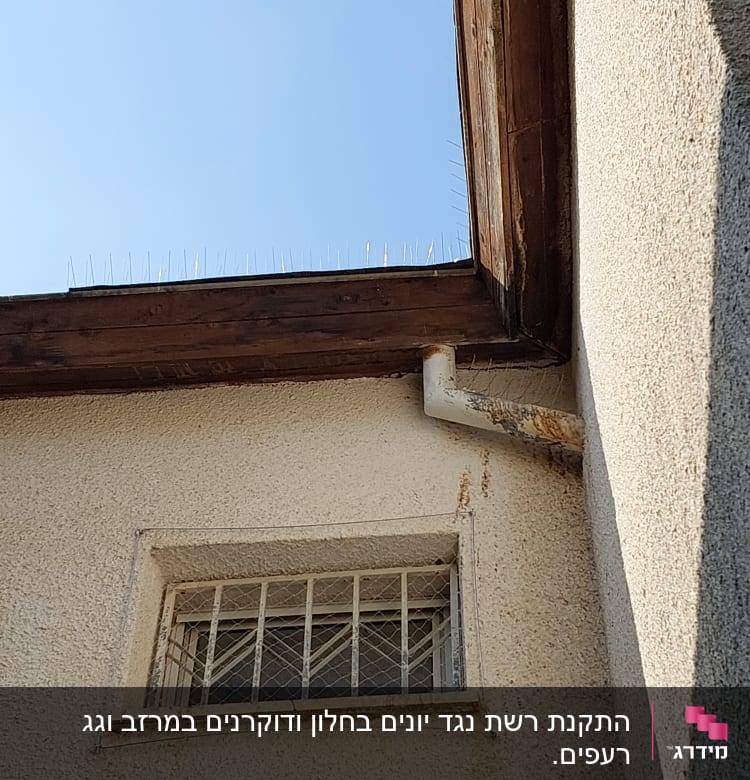 דוקרנים על גג למניעת יונים